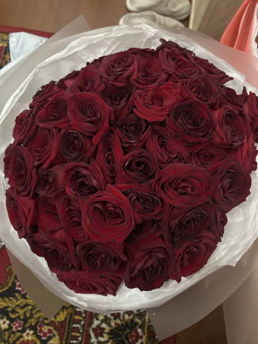 Цветы 51 роз хорошие