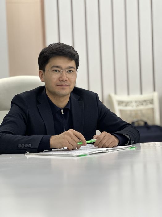 Professional mediator