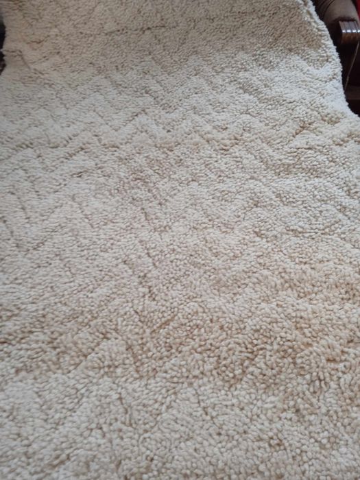 Родопски китеник