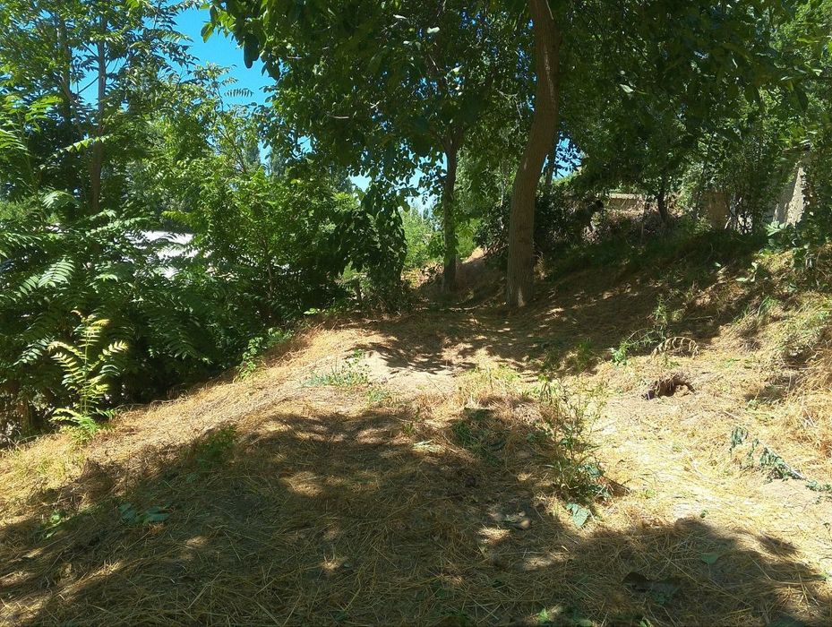 Йер сотилади 6 сток чорвок срочний