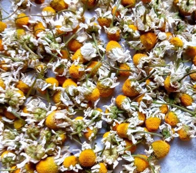 Ръчно Брани Горски Билки за Чай