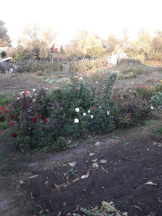 Срочно!Продам дачу