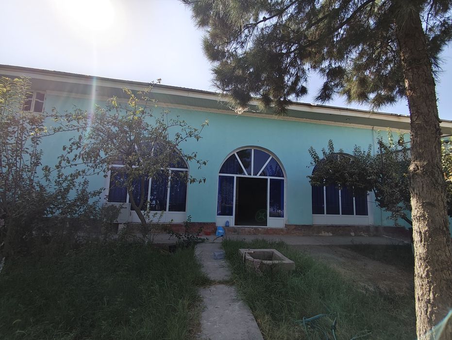 Zamonaviy kotej sotiladi