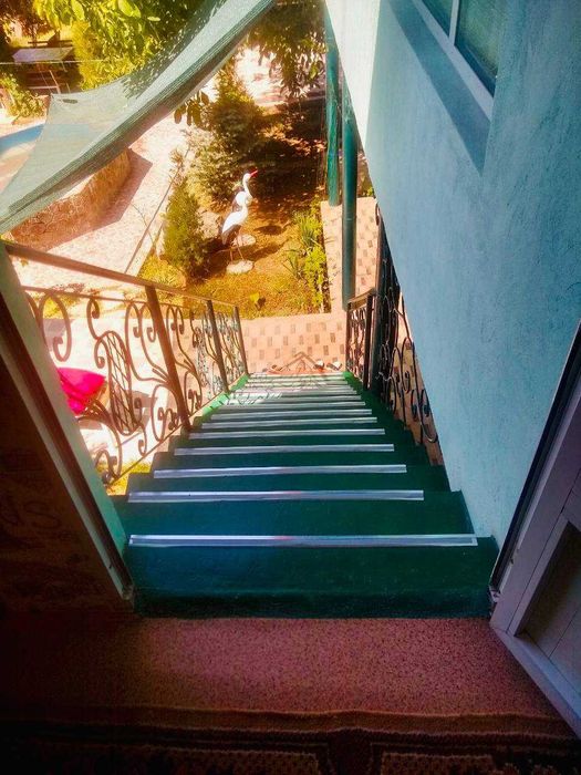 Дача в Ходжикенте / Xodjikentdagi dacha