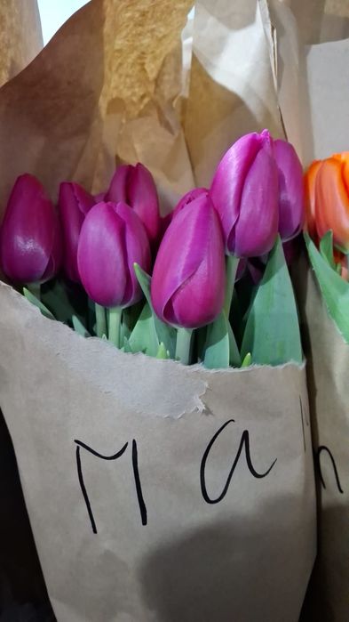 Тюльпаны оптом и в розницу