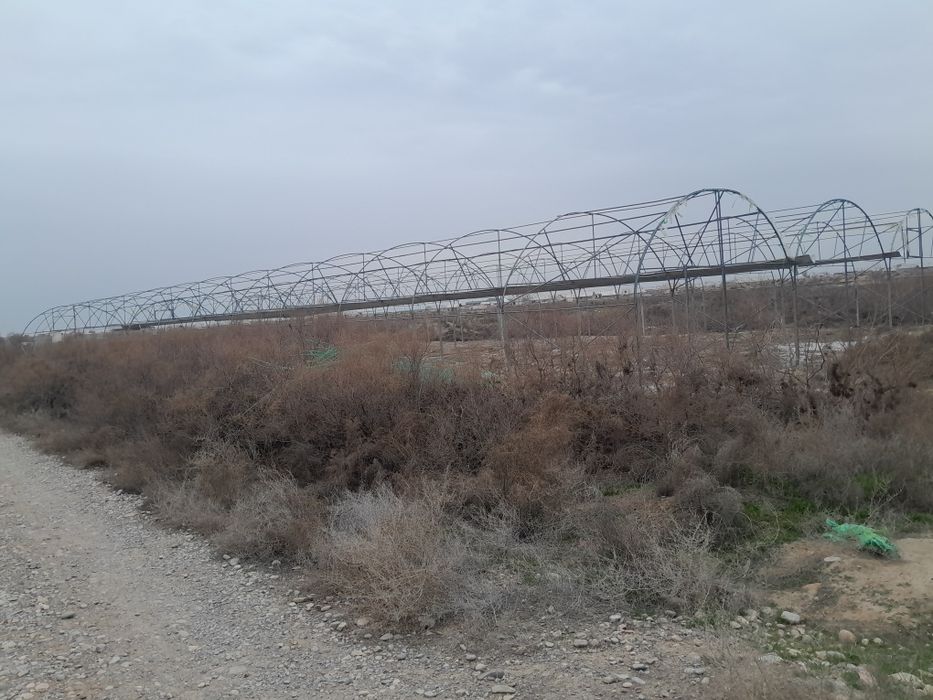 Парник сотилади срочно