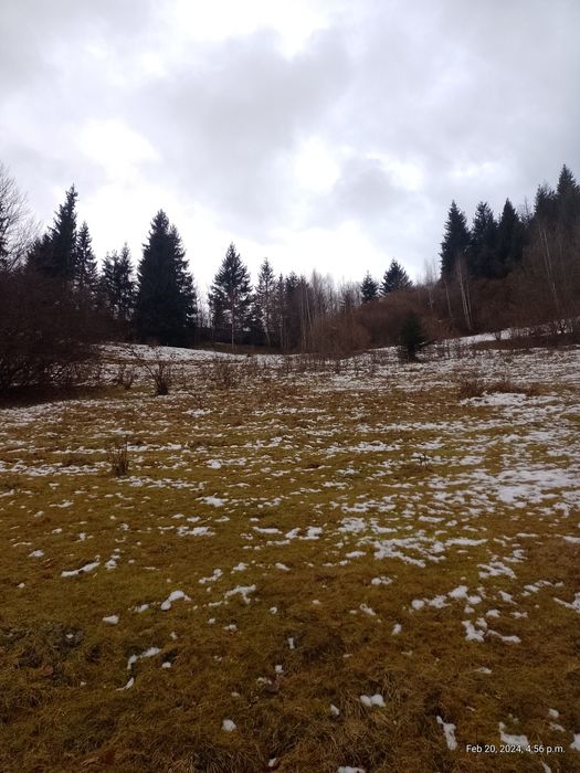 Teren Cabana 2x1000 mp, cu Super View ,zona retrasă.