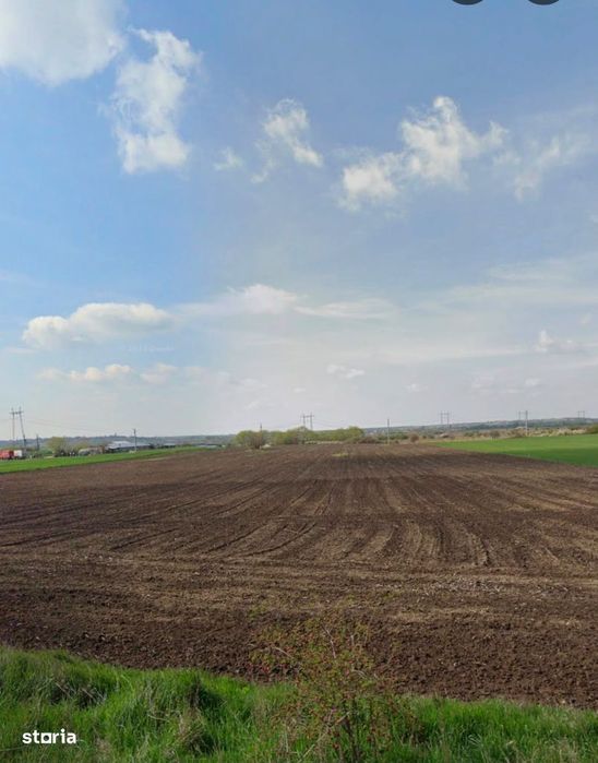 Teren intravilan de vanzare – 33.700 mp Gorneni, com. Iepuresti, Giu
