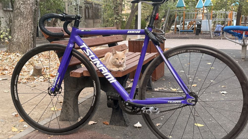 Фикс гир Тсунами бдсм100