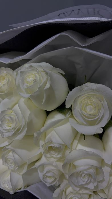 Белые розы 17 шт