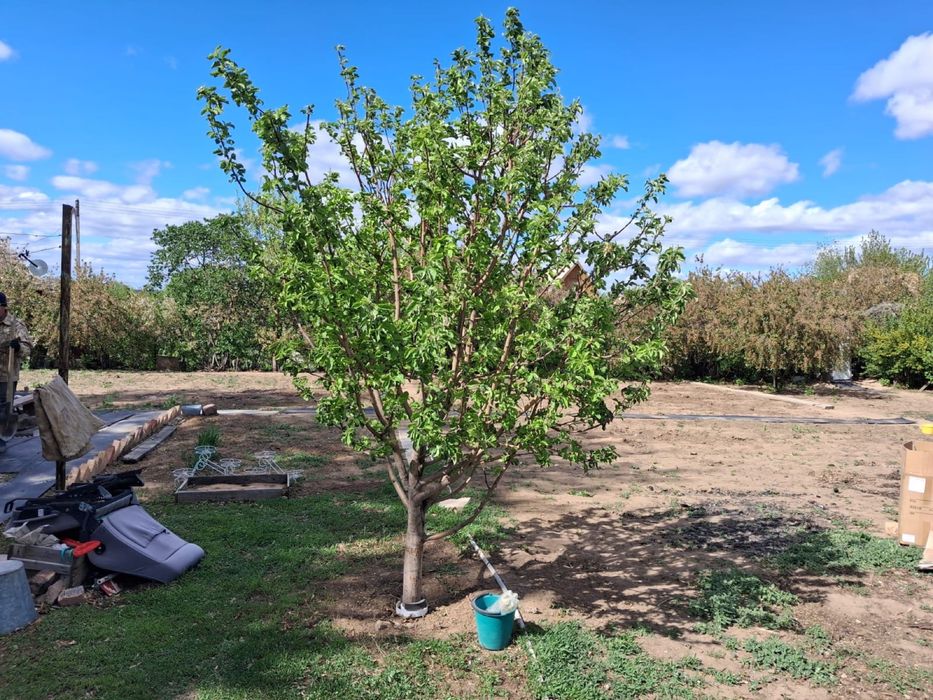 Продам дачу Автообъединение