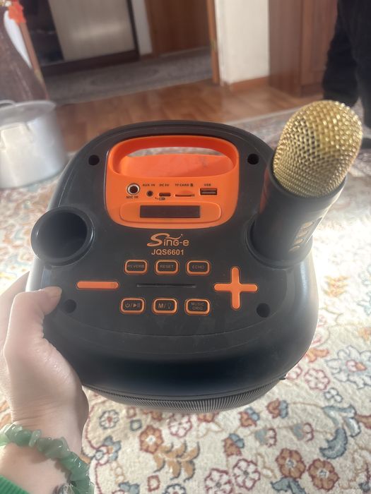 Калонка Singe Микрофоны бар