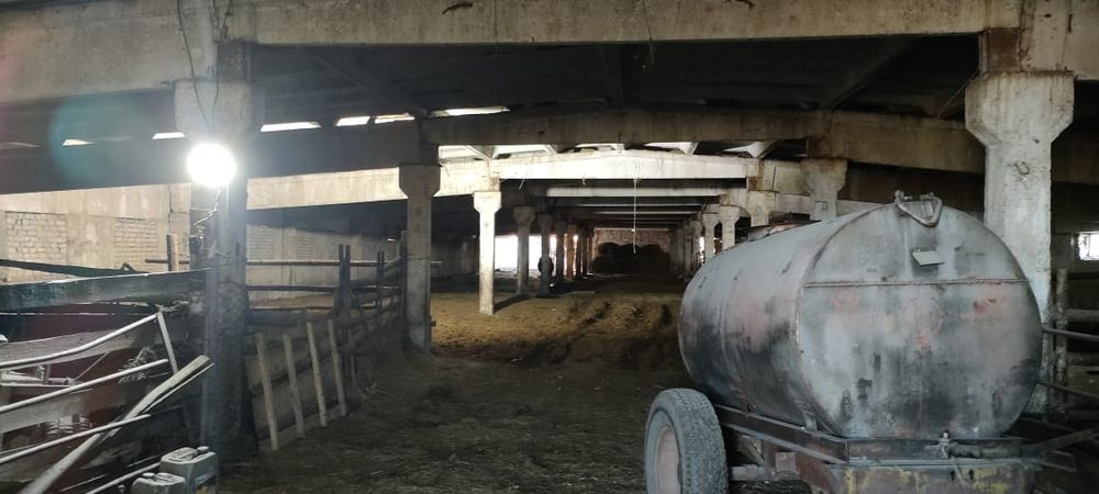 Ферма в Бескарагайском районе