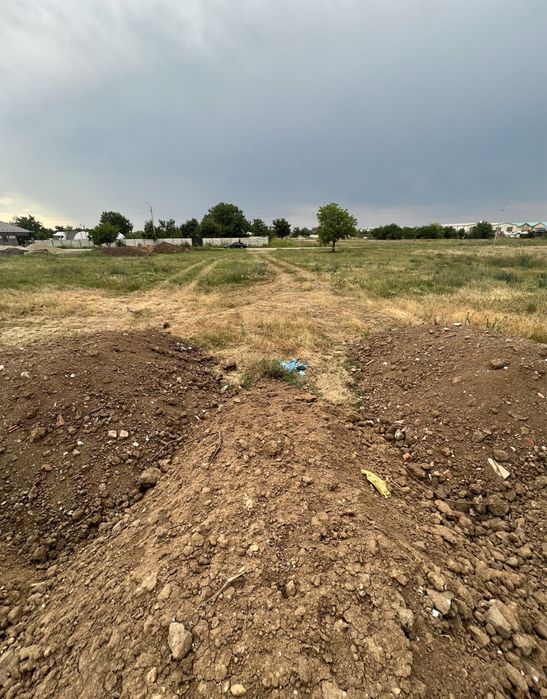 Teren Tunari, Cosmopolis