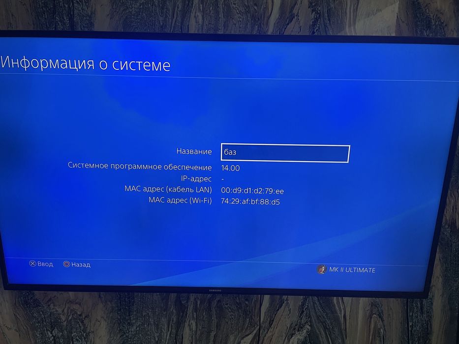 Sony PlayStation 4 (PS4)