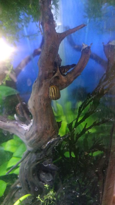 Продам заводской аквариум