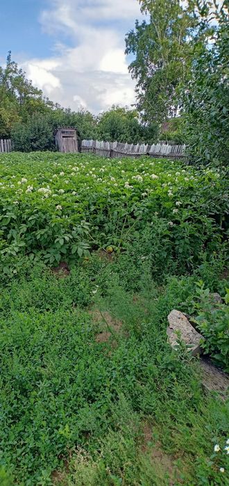 Продам дачу в Д/о Золотая осень