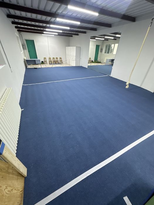 Гимнастический ковер