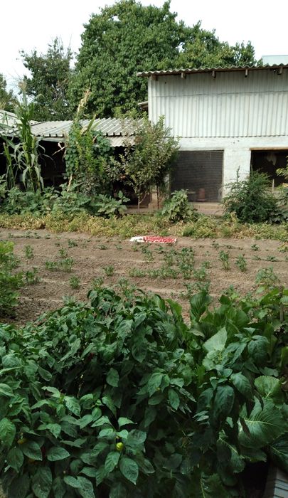 Продается участок .4 сотки 4 ком.Кибрайский район.Набережный.