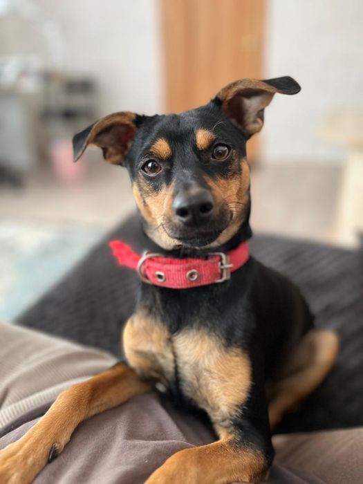 Вязка опытный кабель