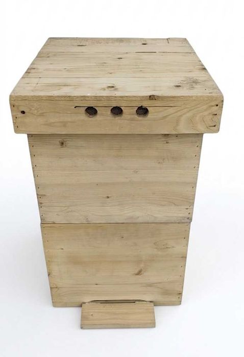 lazi albine noi din lemn rasinoase