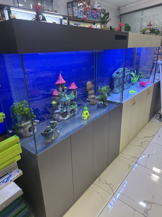 Akvarium va Baliqlar Magazin