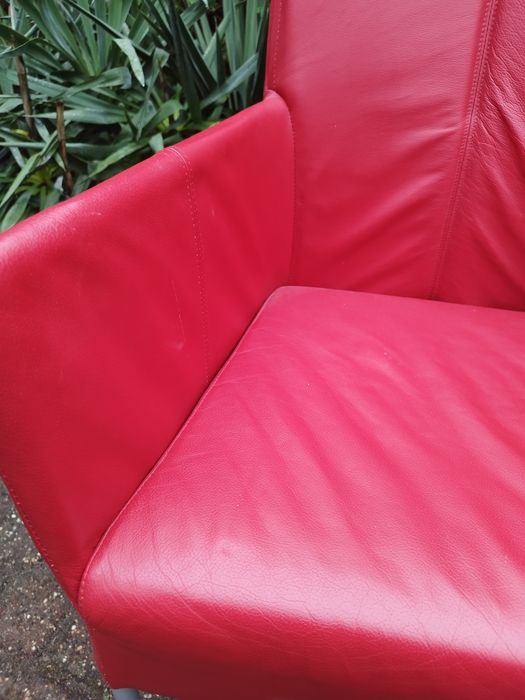 Луксозни дизайнерски кресла Bert Plantagie, естествена телешка кожа