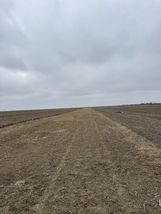 Teren 36 ari intravilan