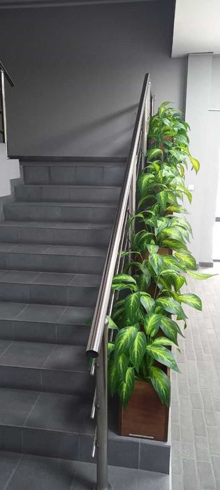 Ijara noturar joy 35 m2 ofis uchun X Olimjon Аренда офис 35 м2 Дархан