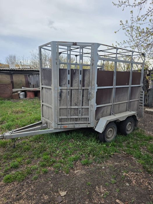 Курганская коневозка (прицеп)