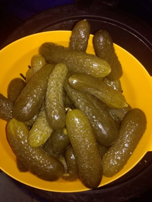 Castraveti murati de vanzare.