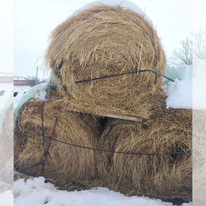 Сено зелёное в рулоне (тюки)