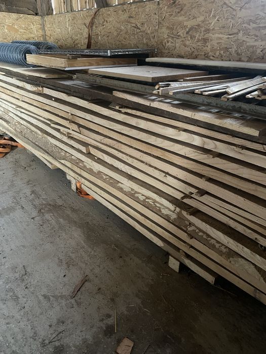 Scandura frasin uscata