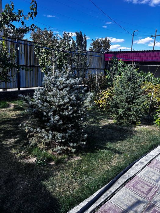 Срочно Продам дом в Кенгире