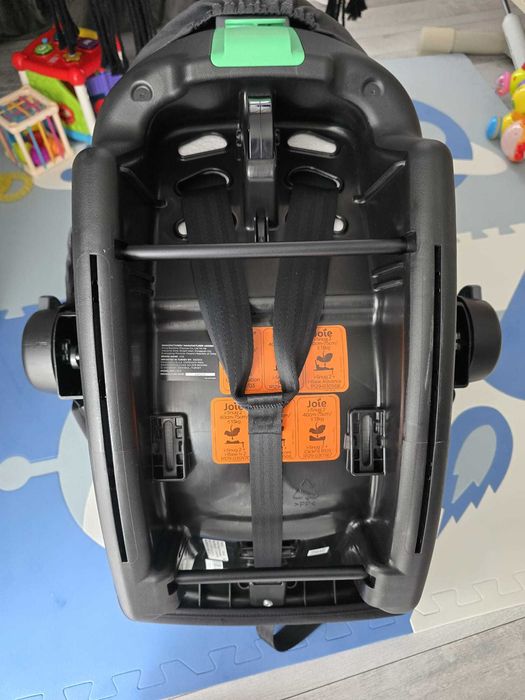 Scoică joie i snug 2