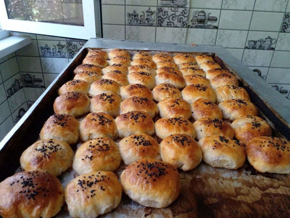 Elektricheskiy duxovka. 220v