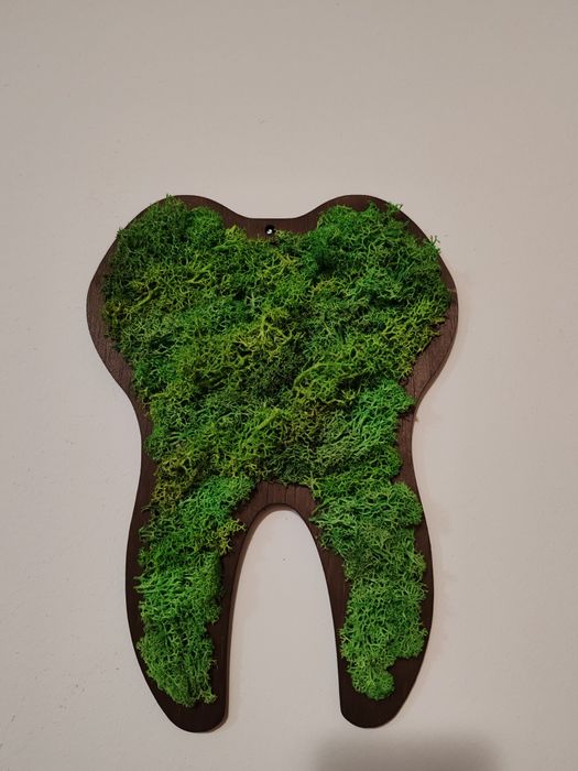 Подаръци със скандинавски мъх