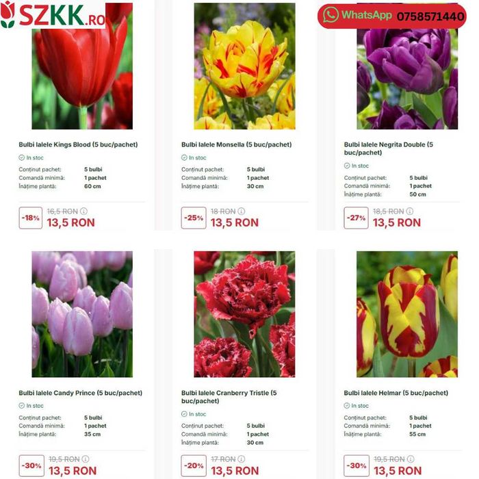 Bulbi de lalele la pret de extrasezon - lichidare stoc!