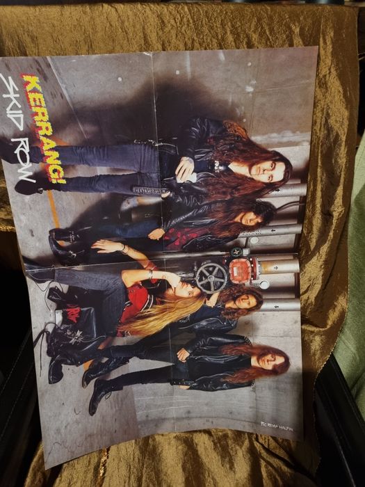 Discuri vinil rock și postere Skid Row ( două discuri și 13 postere)