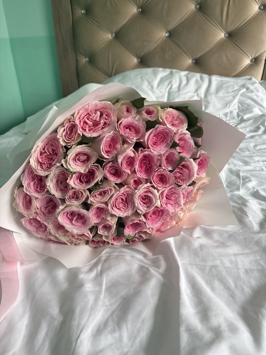 51 шт роза свежые