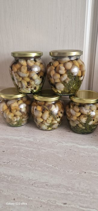 Грибы шампиньоны маринованые