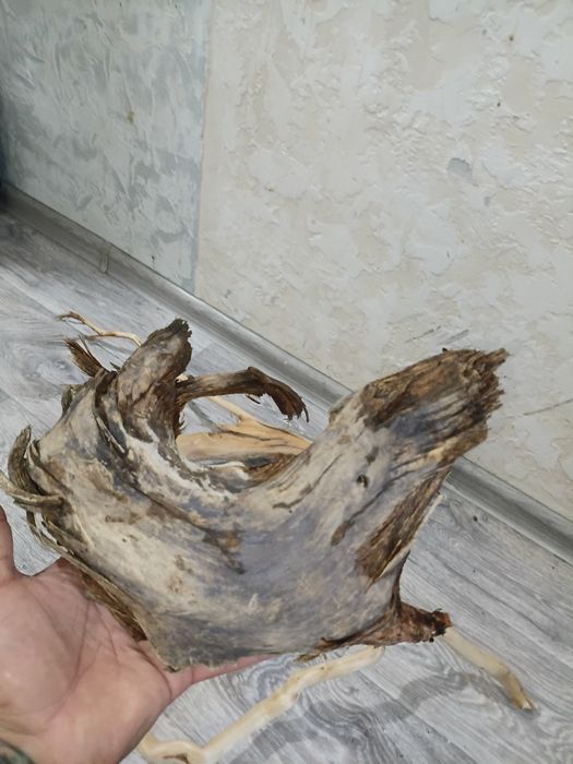 Коряги аквариумные