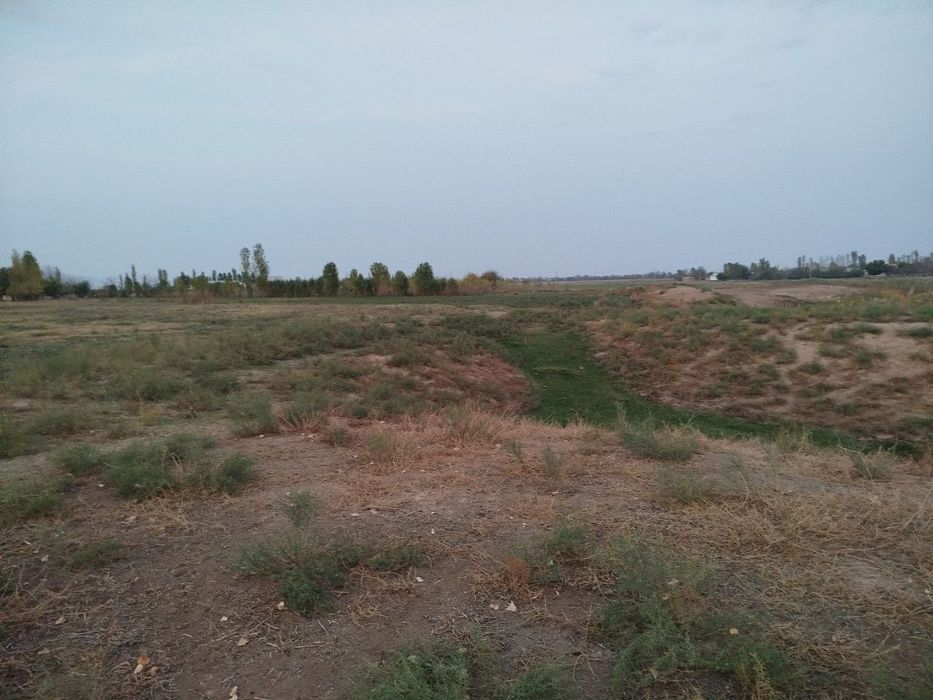 Toza yer joyi tomorqa