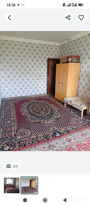 Algaritimda qizlar uchun ijara