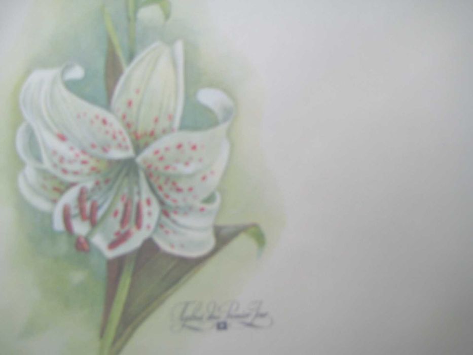 Конверты советские СССР