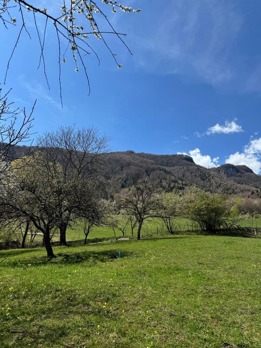 Teren Bran Predelut la poale de munte intravilan
