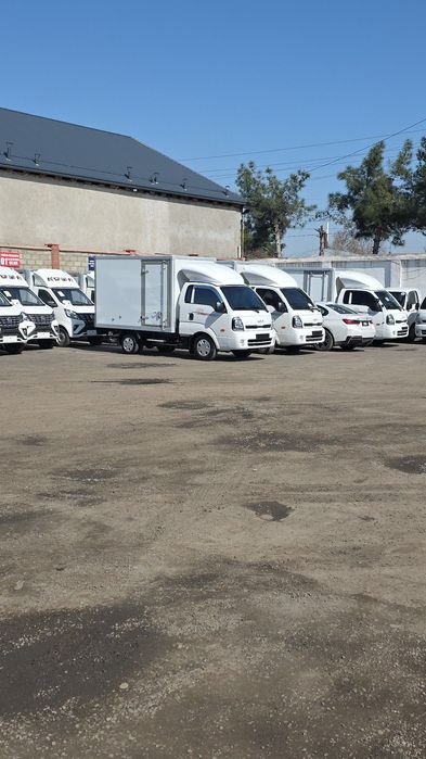 KIA bongo  2025 10 oy PROPAN