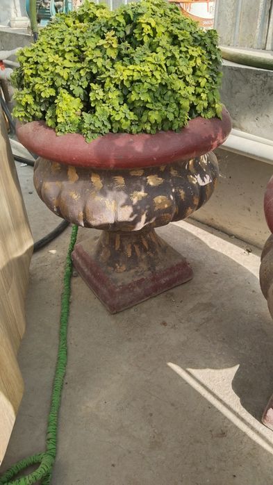 Продается лунки для цветов