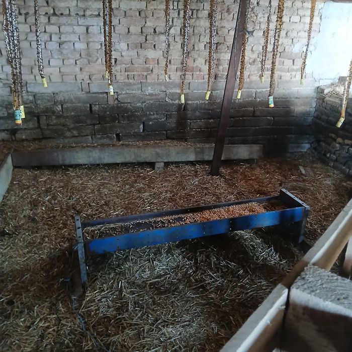 Продава се Парцел в с. Градище, Област Шумен - 1300 кв.м за 16 €/кв.м - Снимка #10