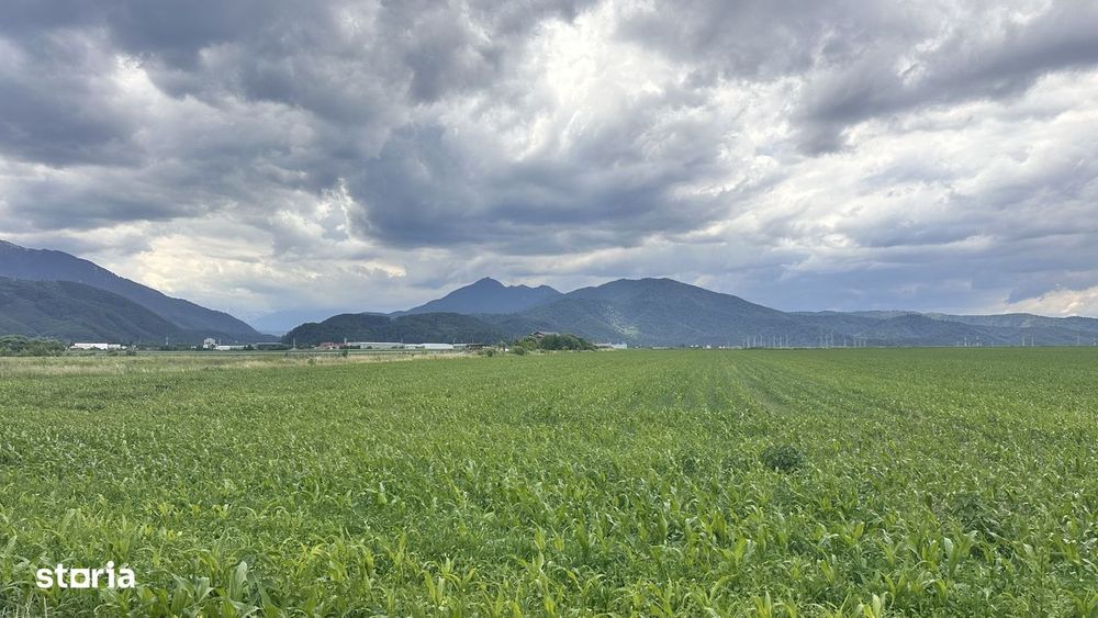 Loturi de grădină 400 mp - Săcele